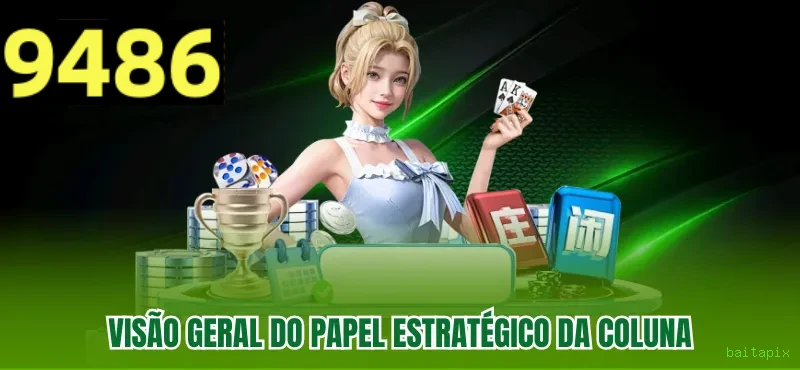 Segurança baitapix SSL